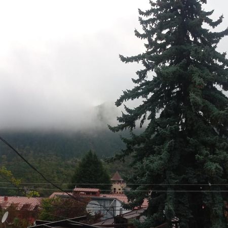 House Lia Hotel Borjomi Eksteriør billede
