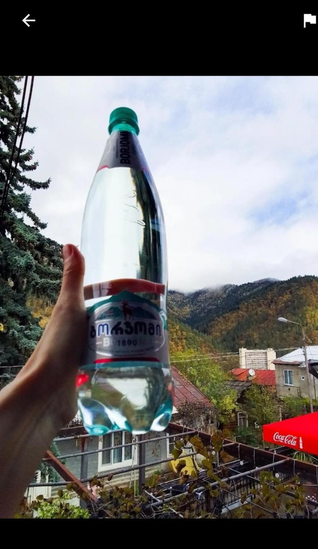 House Lia Hotel Borjomi Eksteriør billede