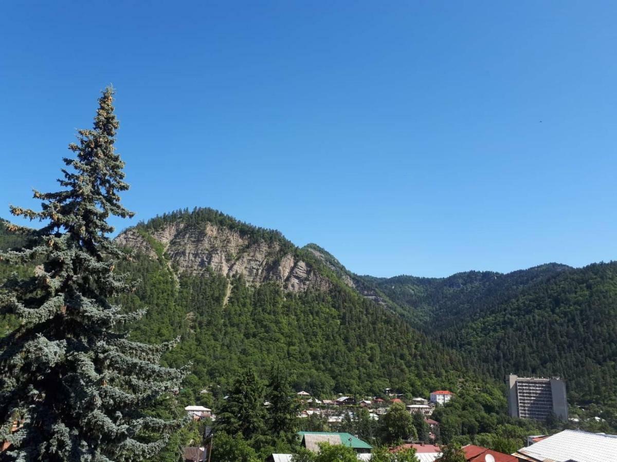 House Lia Hotel Borjomi Eksteriør billede